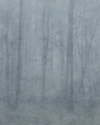 Skog Mural Misty Blue by   
