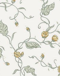 Elmire Spring Green by  Scalamandre Wallcoverings 