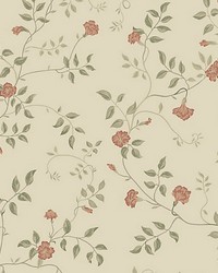 Henny Ginseng by  Scalamandre Wallcoverings 