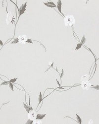 Levi Light Grey by  Scalamandre Wallcoverings 