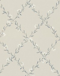 Ewa Grey by  Scalamandre Wallcoverings 