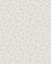 Stella Sandstone by  Scalamandre Wallcoverings 