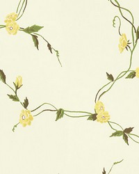 Levi Light Yellow by  Scalamandre Wallcoverings 