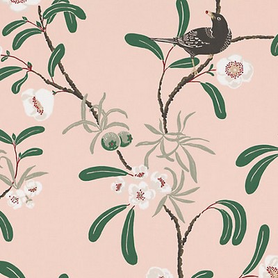 Scalamandre Wallcoverings Antonia Pink WSB00240104 Pink  Animals Bird and Butterfly Wallpapers Traditional Flower Wallpaper Flower Wallpaper 
