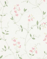 Sanna Light Pink by  Scalamandre Wallcoverings 