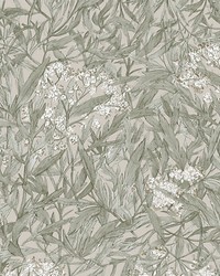 Malin Sage Green by  Scalamandre Wallcoverings 