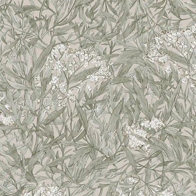 Scalamandre Wallcoverings Malin Sage Green WSB00280225 Green  Flower Wallpaper 