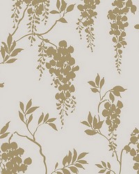 Hedvig Honey by  Scalamandre Wallcoverings 