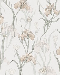 Iris Powder Pink by  Scalamandre Wallcoverings 