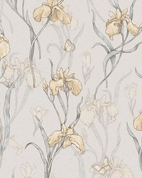 Iris Amber by  Scalamandre Wallcoverings 