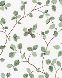Hassel White by  Scalamandre Wallcoverings 
