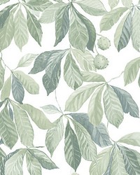 Kersti Spring Green by  Scalamandre Wallcoverings 