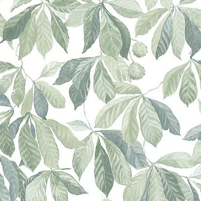Scalamandre Wallcoverings Kersti Spring Green WSB00441014 Green  Leaves Trees and Vines Wallpaper 