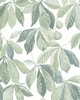 Scalamandre Wallcoverings KERSTI SPRING GREEN