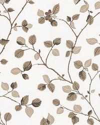 Hassel Brown by  Scalamandre Wallcoverings 