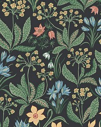 Huset I Solen Charcoal by  Scalamandre Wallcoverings 