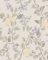 Kvitten Lilac by  Scalamandre Wallcoverings 