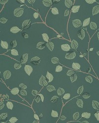 Hassel Green by  Scalamandre Wallcoverings 