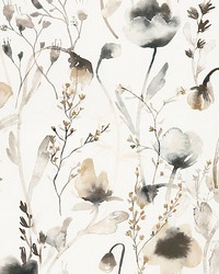 Lo Brown by  Scalamandre Wallcoverings 