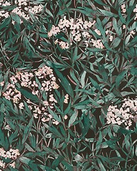 Malin Black by  Scalamandre Wallcoverings 