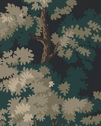Raphael Black   Dark Green by  Scalamandre Wallcoverings 