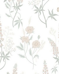 Emma Pastel by  Scalamandre Wallcoverings 