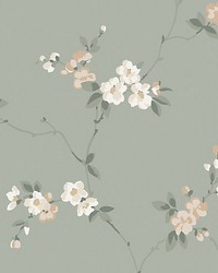 Engla Sage Green by  Scalamandre Wallcoverings 