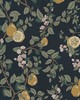 Scalamandre Wallcoverings KVITTEN DARK BLUE