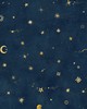 Starry Sky  Mural Petrol