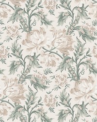 Amelia Eggshell by  Scalamandre Wallcoverings 