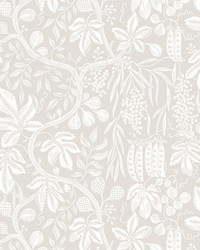 Fig Garden Sandstone by  Scalamandre Wallcoverings 