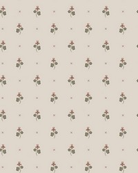 Mimi Blush by  Scalamandre Wallcoverings 