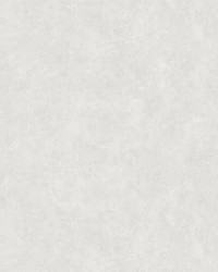 Kalk Gray by  Scalamandre Wallcoverings 