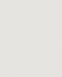 Valv Gray by  Scalamandre Wallcoverings 