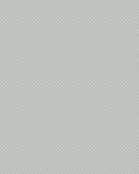 Valv Sage Green by  Scalamandre Wallcoverings 