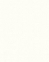 Sten Chalk White by  Scalamandre Wallcoverings 