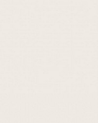 Sten Sandstone by  Scalamandre Wallcoverings 