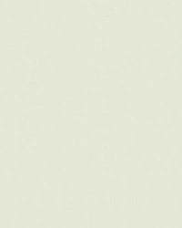 Sten Garden Green by  Scalamandre Wallcoverings 