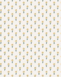 Betty Yellow by  Scalamandre Wallcoverings 