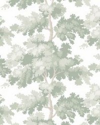 Raphael Light Green by   