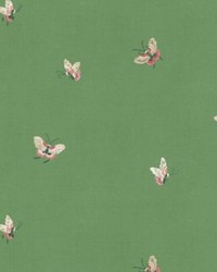 Butterflies Green by   