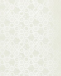 Hexagon Inspiration Ivory by  Scalamandre Wallcoverings 