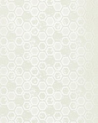 Hexagon Inspiration Ivory by  Scalamandre Wallcoverings 