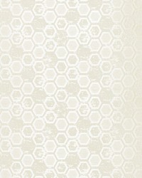 Hexagon Inspiration Bone by  Scalamandre Wallcoverings 