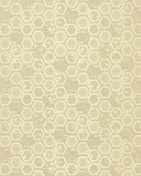 Hexagon Inspiration Chamomille by  Scalamandre Wallcoverings 