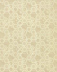 Hexagon Inspiration Chamomille by  Scalamandre Wallcoverings 