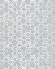 Scalamandre Wallcoverings HEXAGON INSPIRATION GLACIER