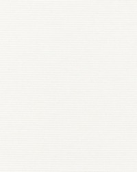 Ventura Ivory by  Scalamandre Wallcoverings 