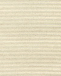 Ventura Creme by  Scalamandre Wallcoverings 