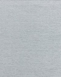 Ventura Slate by  Scalamandre Wallcoverings 